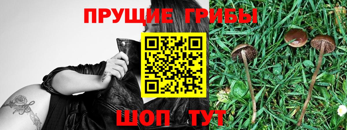Галлюциногенные грибы мухоморы Ржев