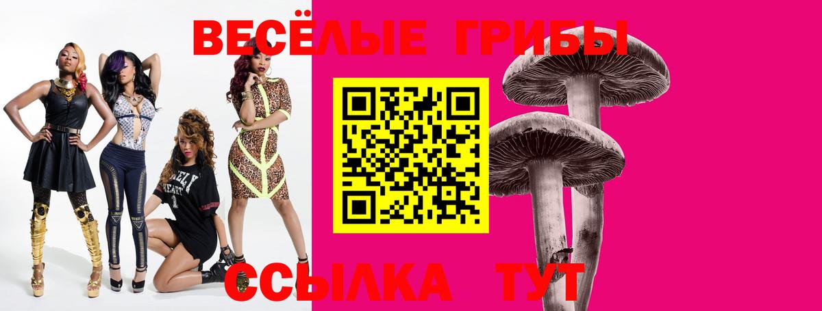 Галлюциногенные грибы мицелий  Вход с VPN  купить наркоту  Ржев 