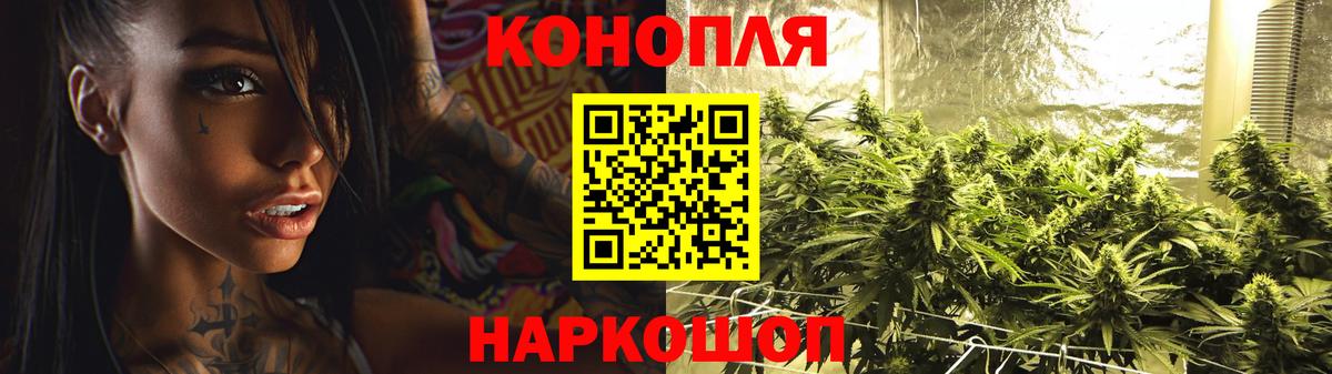 Шишки марихуана VHQ  Бошки марихуана MAZAR  Ржев  Вход с VPN 
